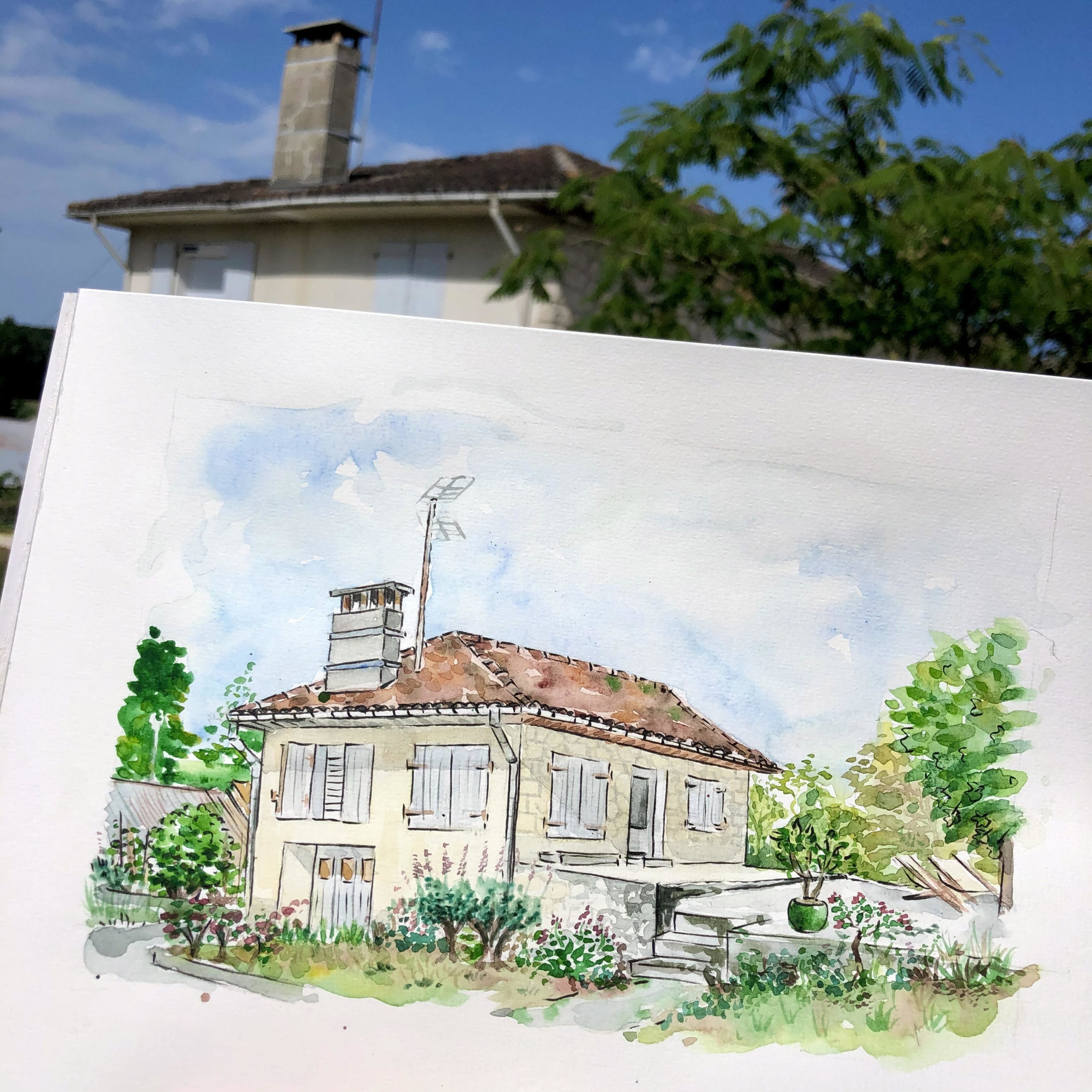 illustratrice aquarelle