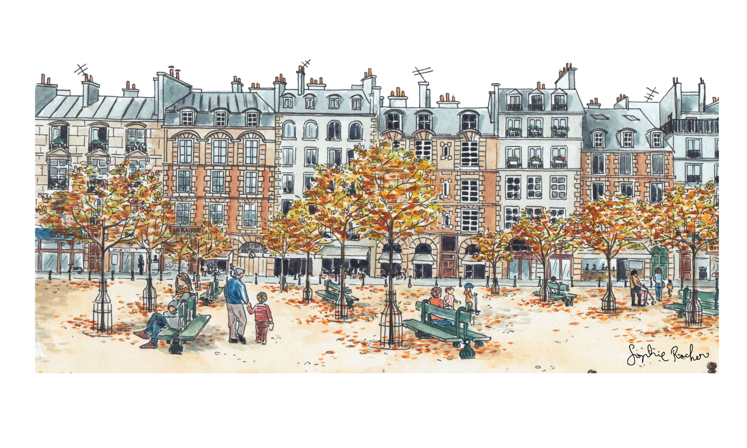 illustration Paris Sophie Rocher