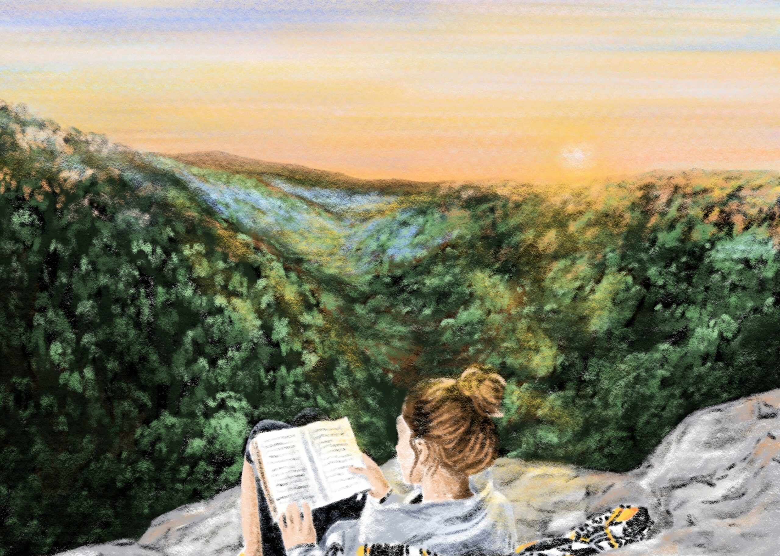 illustration-poster-pyrenées-sophie-rocher-