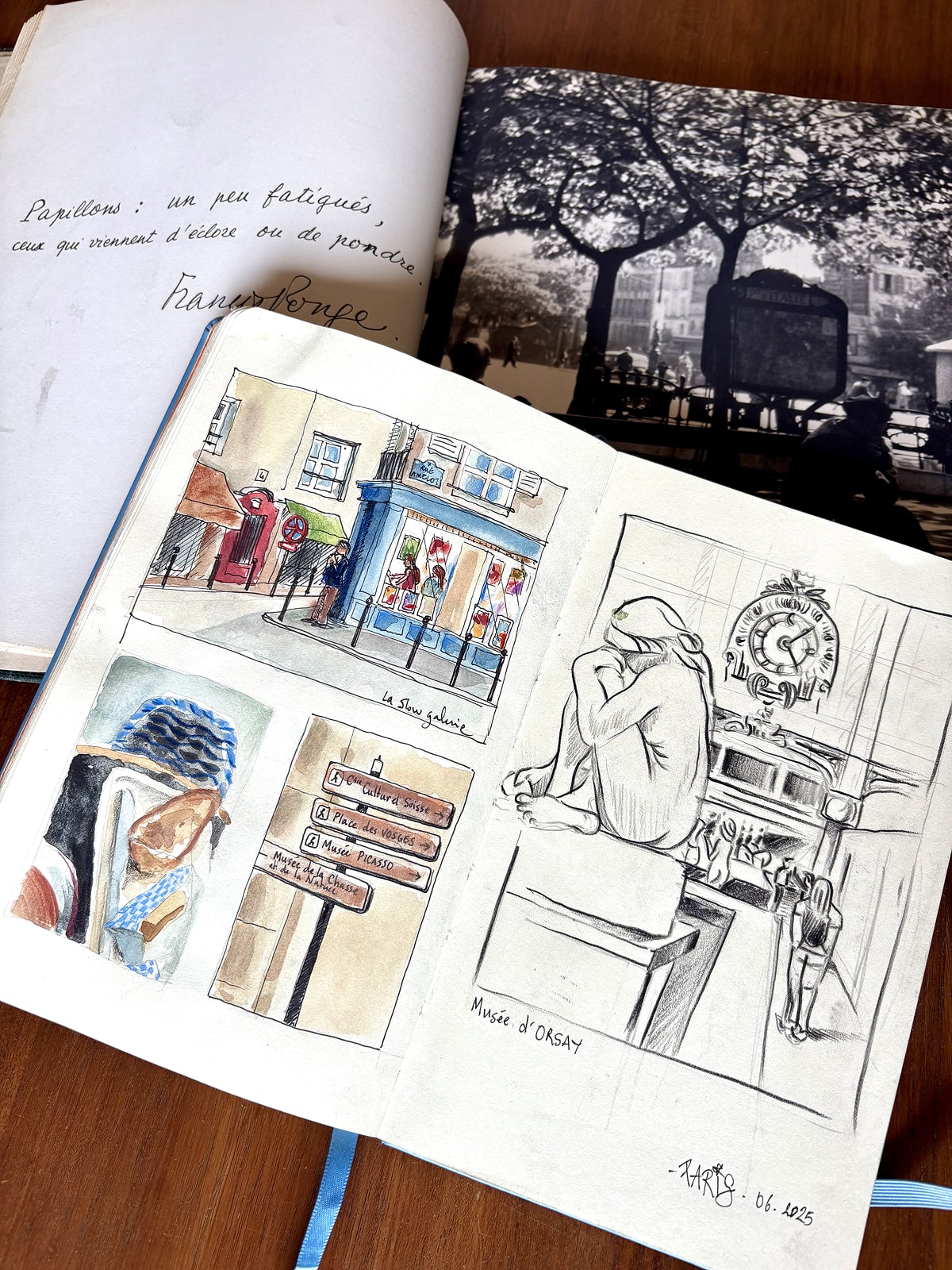 illustratrice-sophie-rocher